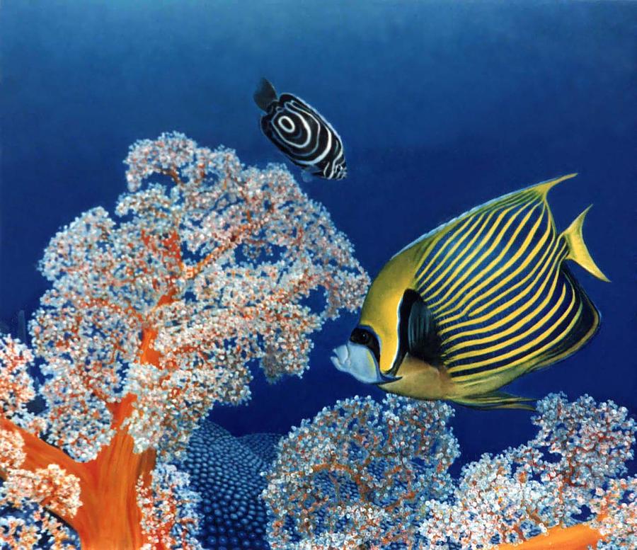 Emperor Fish Painting by Ben Saturen
