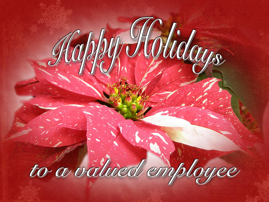 Employee Happy Holidays Greeting Card - Red and White Poinsettia Photograph by Carol Senske