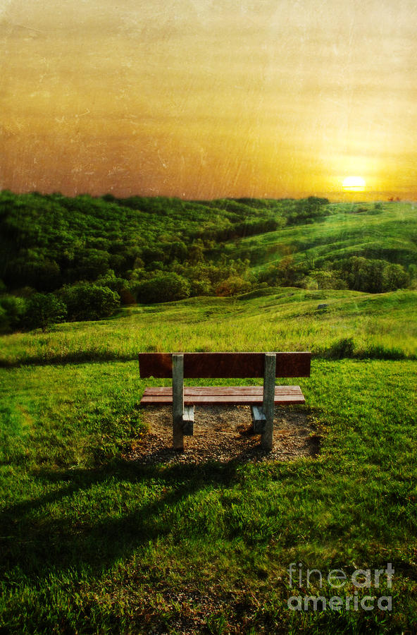 Empty Bench with a View in the Countryside at Sunset Photograph by Jill Battaglia