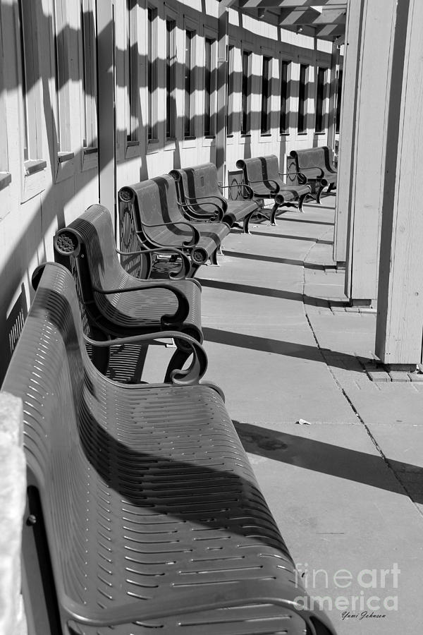Empty Benches  Photograph by Yumi Johnson