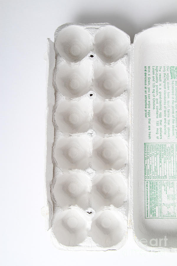 Empty Carton Of Eggs, 13 Of 13 Photograph by Photo Researchers, Inc.