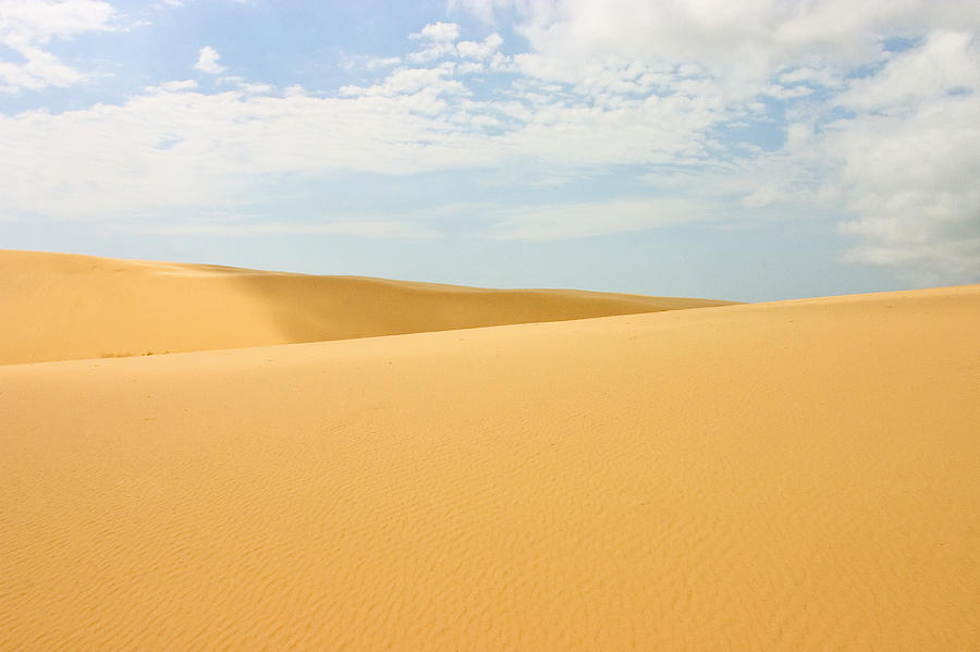 Landscape Photograph - Empty Desert Sand Dunes by Axiom Photographic
