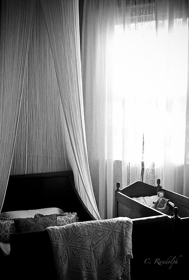 Empty Nest Photograph by Cheri Randolph