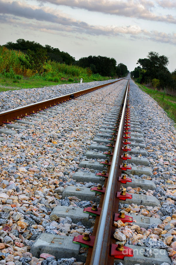 Nature Photograph - Empty Railway by Carlos Caetano
