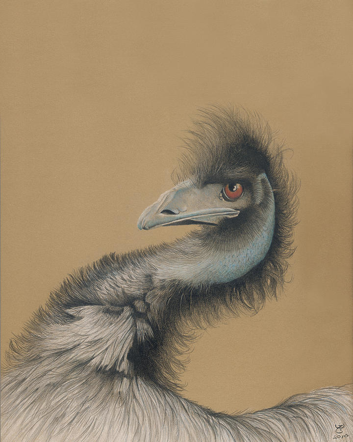 Emu Painting - Emu by Ann Hamilton