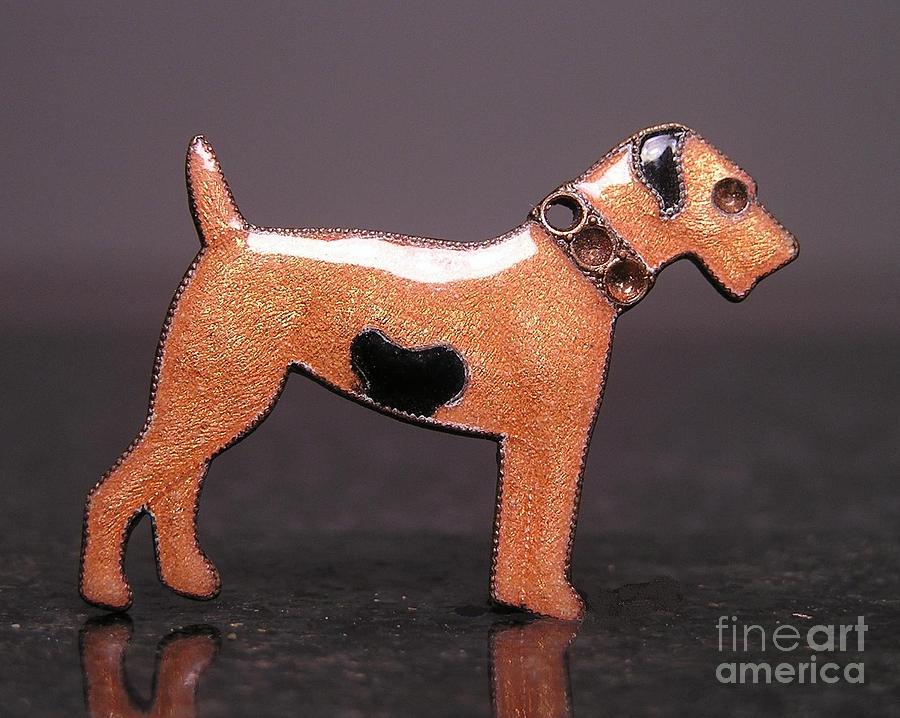 Dog Jewelry - Enamels 48f by Dwight Goss