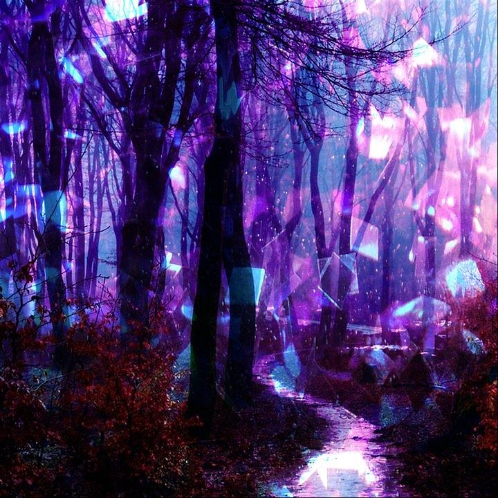 Enchanted Forest Digital Art by Joe Matey - Pixels