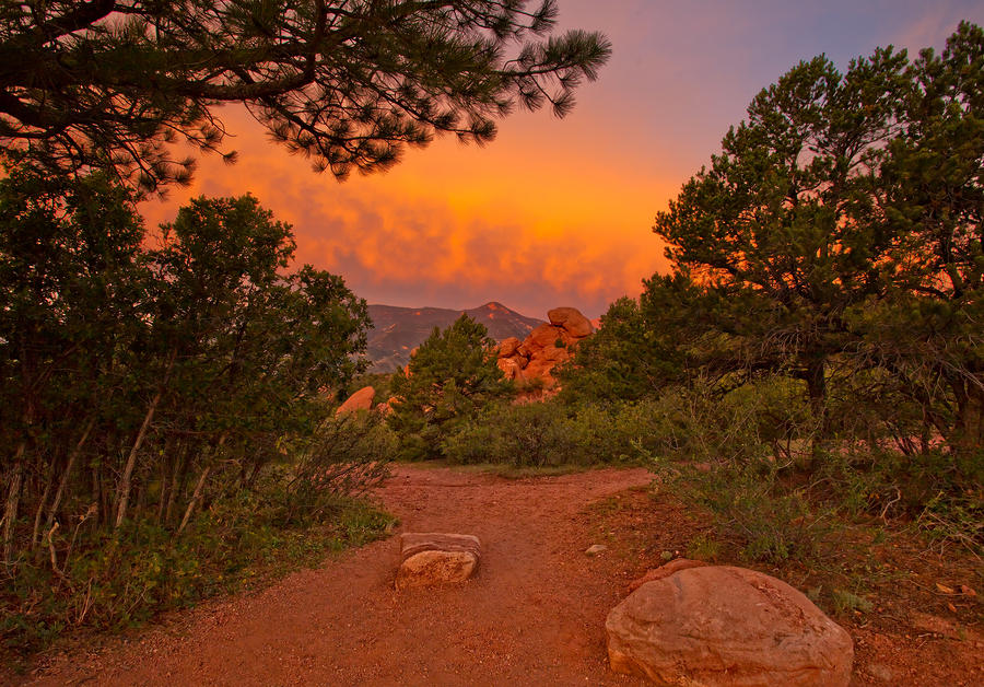 Garden Of The Gods Photograph - Enchanted Morning by Tim Reaves