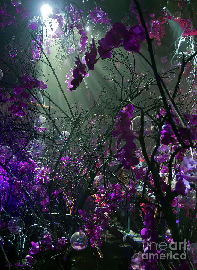 Enchanted orchids forest 02 Photograph by Arik Baltinester