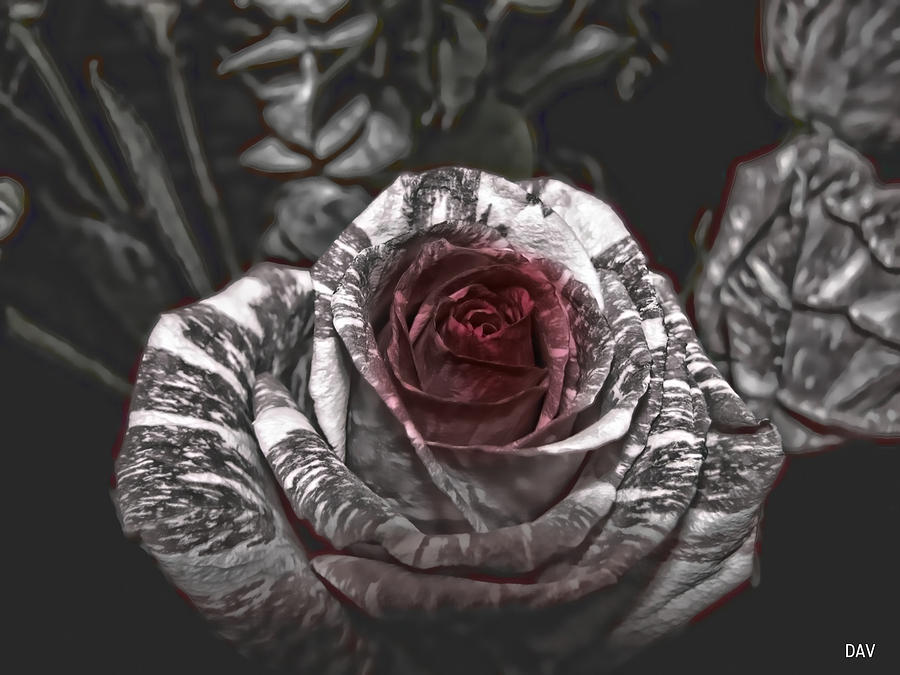 Enchanted Roses Mixed Media by Debra     Vatalaro
