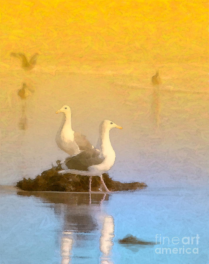 Seagull Photograph - End of the Day by Betty LaRue