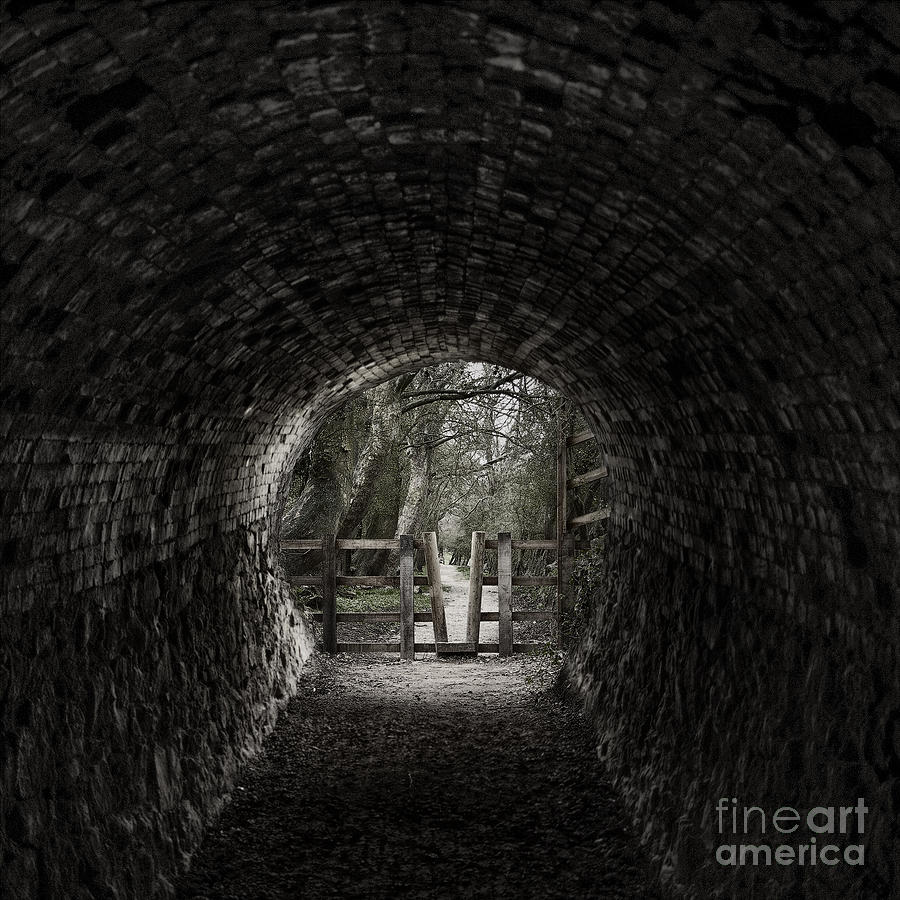 End of the tunnel Photograph by Steev Stamford