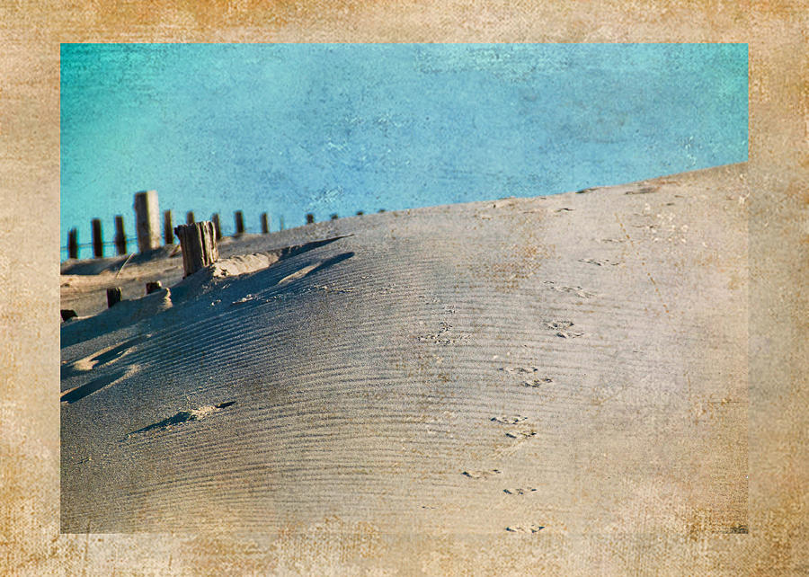 Endless Footprints Photograph by Trish Tritz