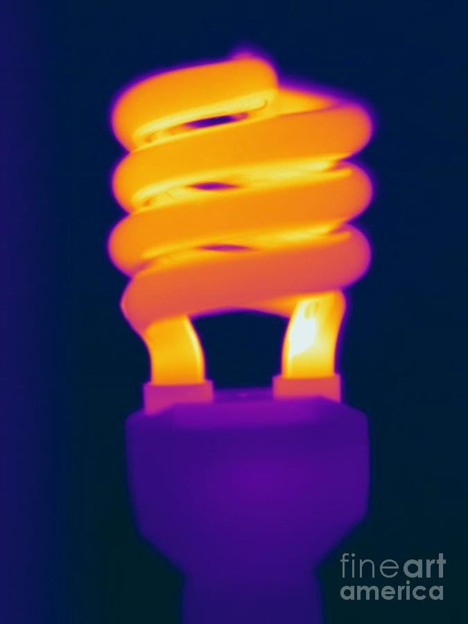 Thermogram Photograph - Energy Efficient Fluorescent Light by Ted Kinsman