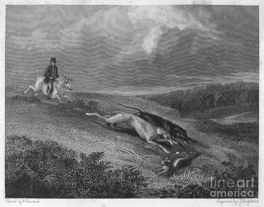 Horse Photograph - England: Coursing, 1833 by Granger