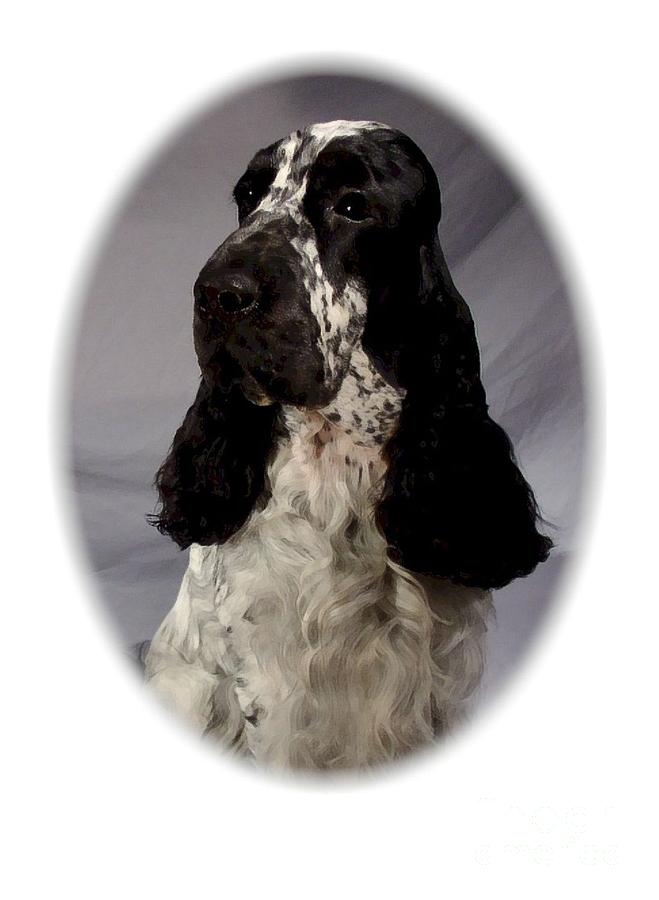 English Cocker Spaniel 31 Digital Art By Larry Matthews Fine Art America 