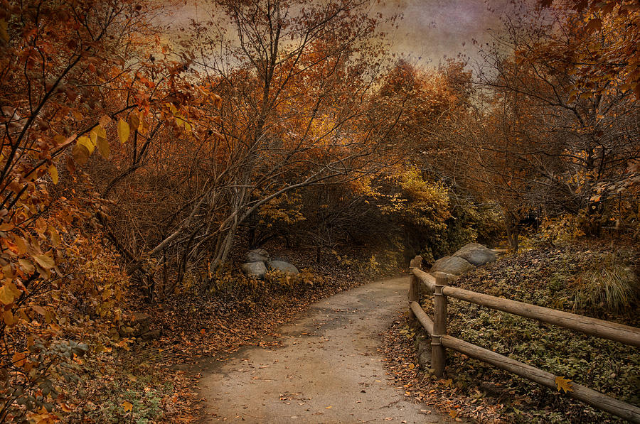 Enter Autumn Photograph by Robin-Lee Vieira