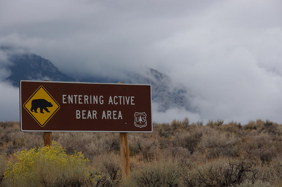 Entering Active Bear Area Photograph by Jeff Lowe