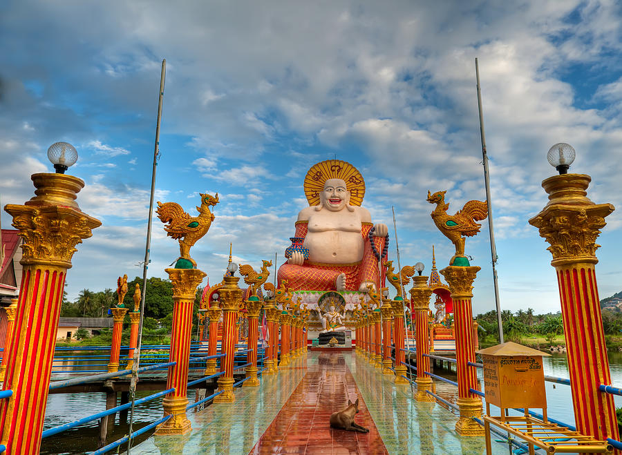 Entrance To Buddha Photograph by Adrian Evans - Fine Art America