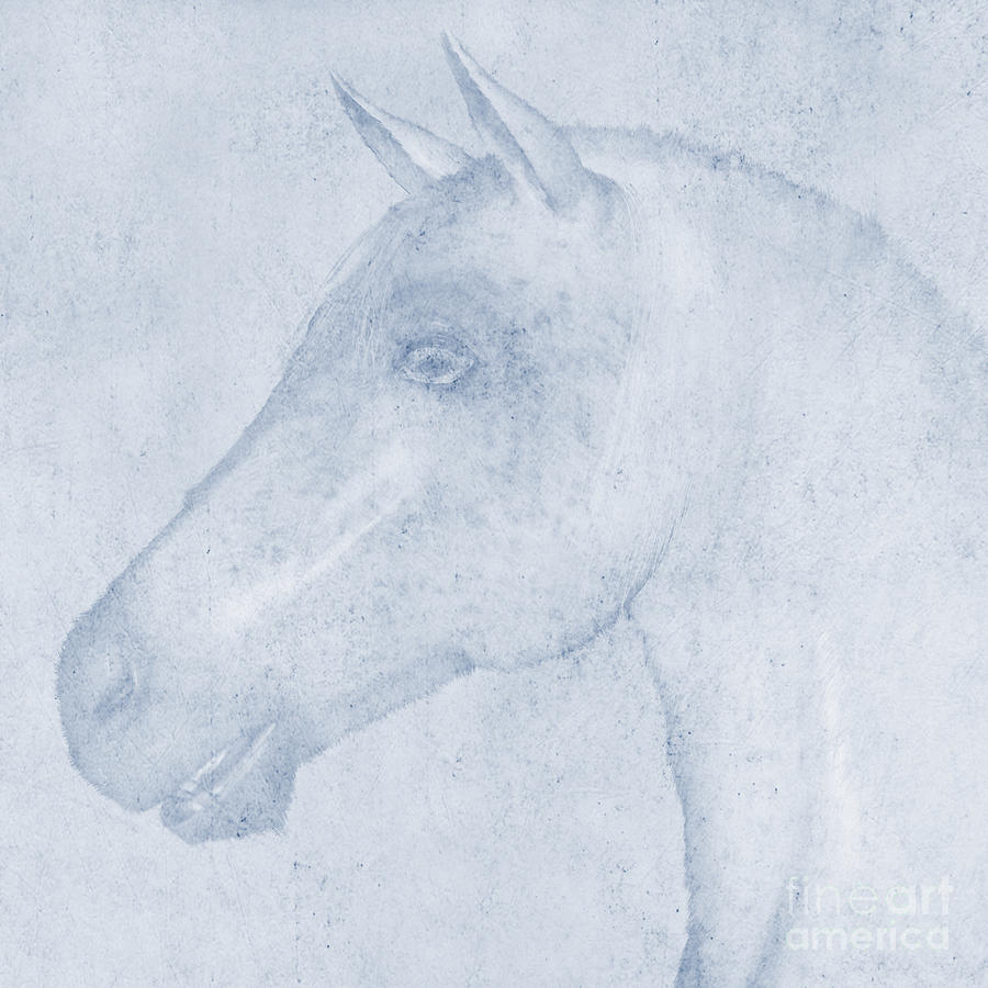 Nature Digital Art - Equus by John Edwards