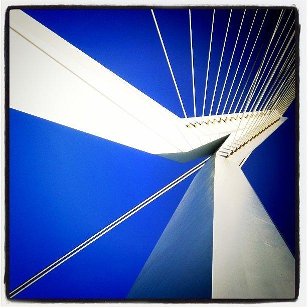 Bridge Photograph - Erasmus Bridge by Arthur Geursen