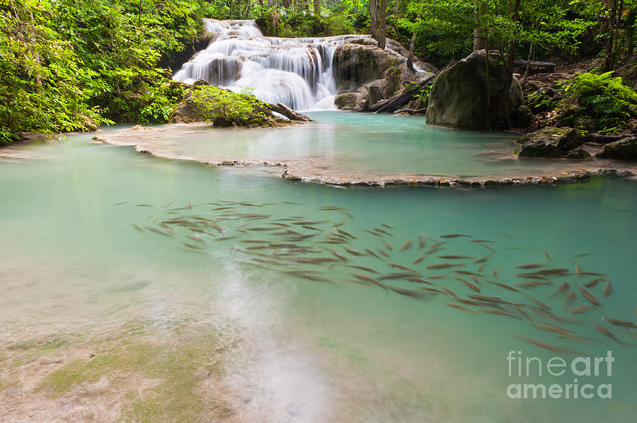 Cool Photograph - Eravan Waterfall by Sattapapan Tratong
