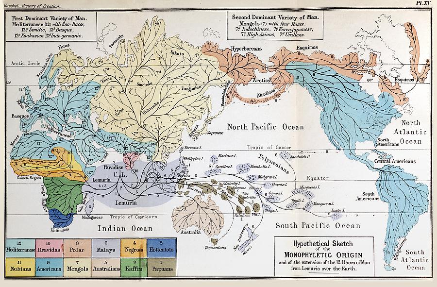 Ernst Haeckel map of Lemuria - Paradise