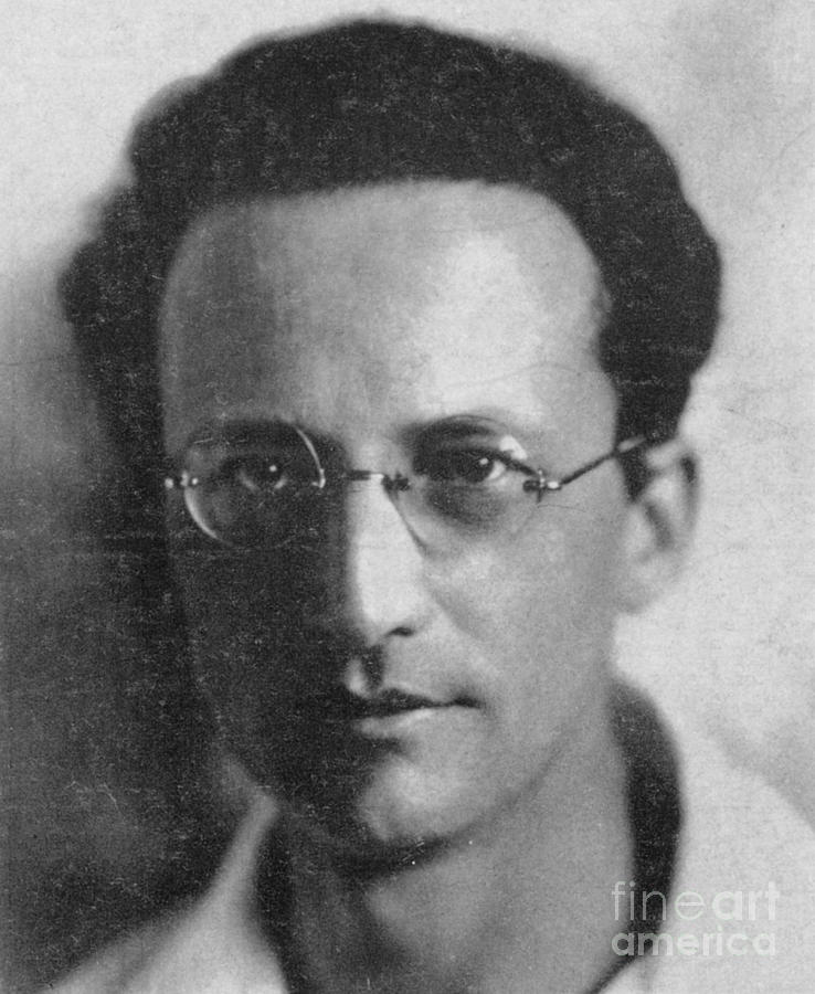 Erwin Schrodinger, Austrian Physicist Photograph by Science Source