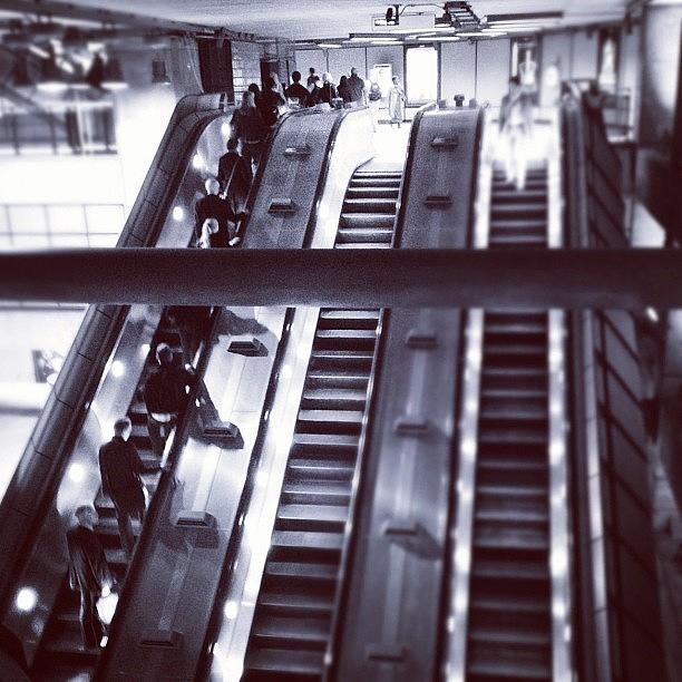 London Photograph - Escalators : Westminster by Neil Andrews