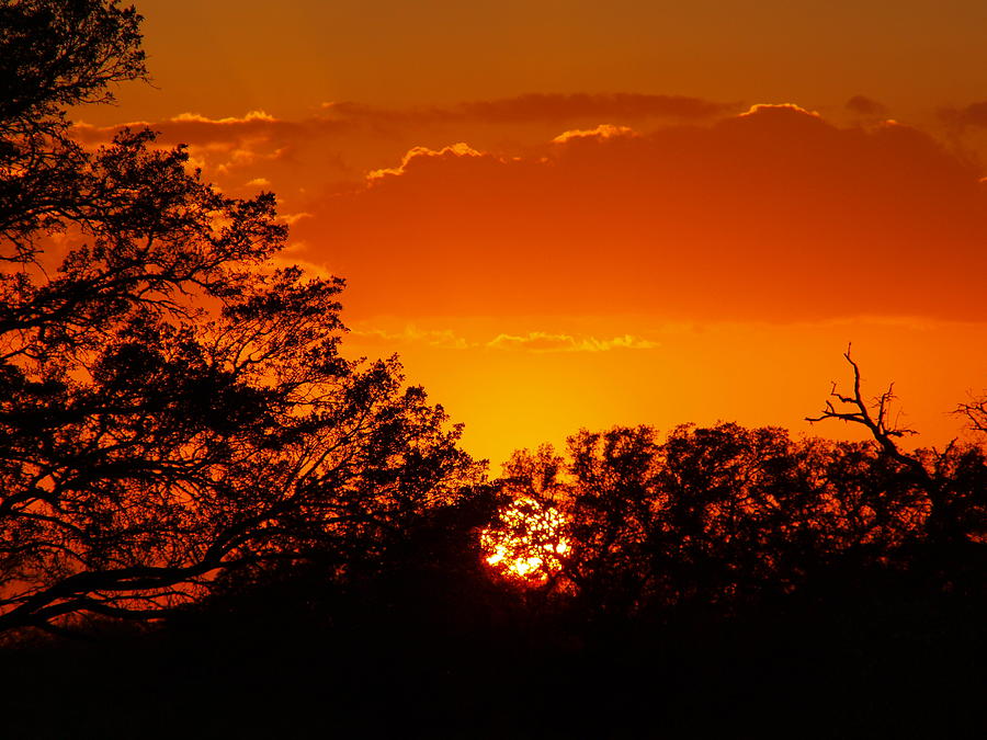 Sunset Photograph - Escape Of A Golden Sun by James Granberry