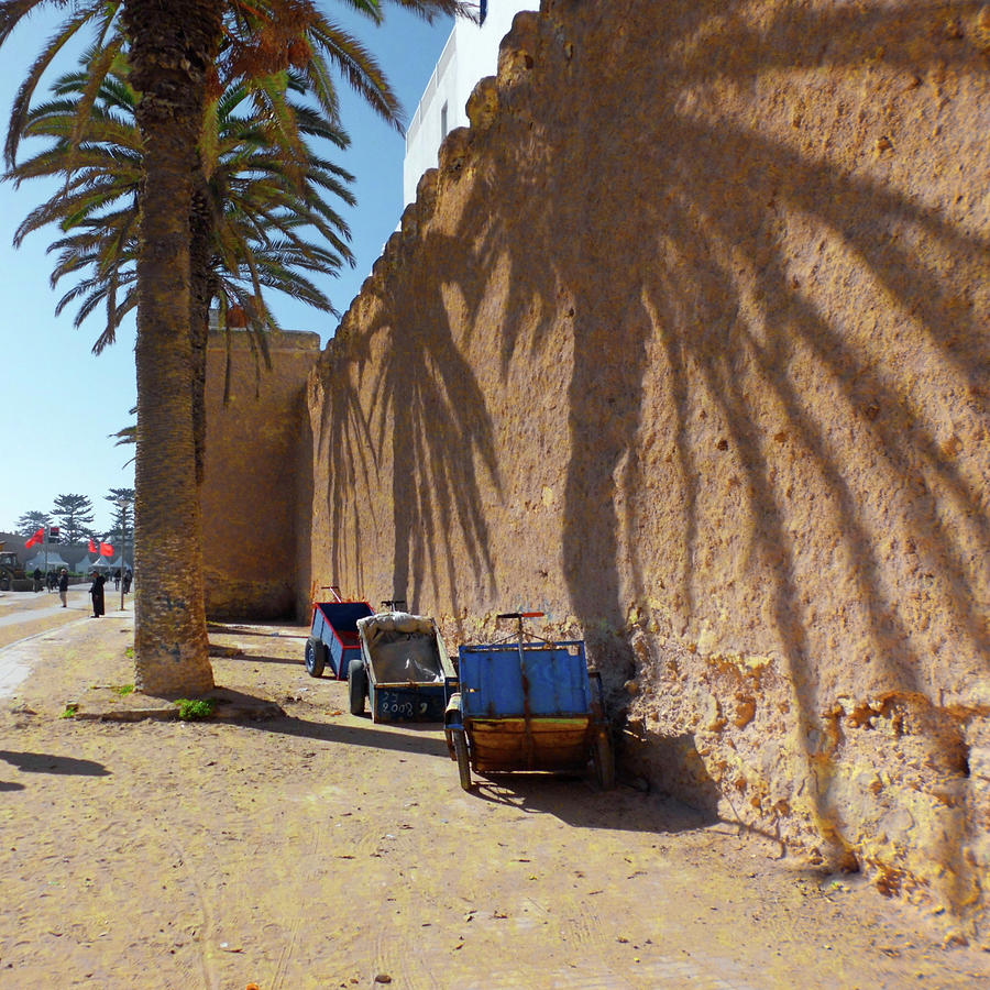 Essaouira Medina 05 Photograph by Miki De Goodaboom