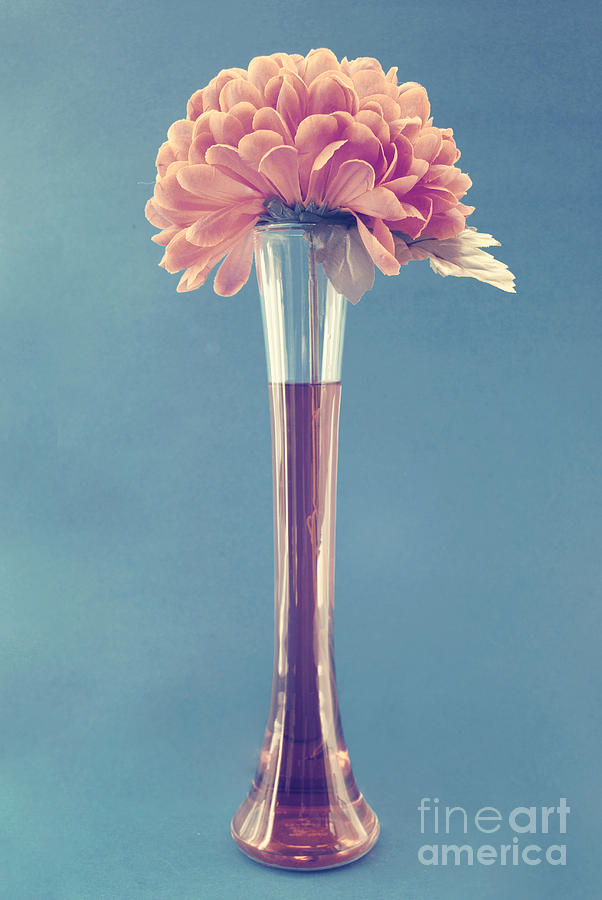 Estillo vase - s01v3f Photograph by Variance Collections