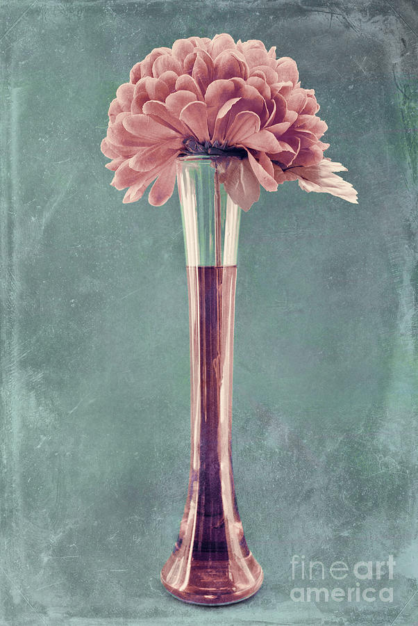 Estillo Vase - s01v4b2t03 Photograph by Variance Collections