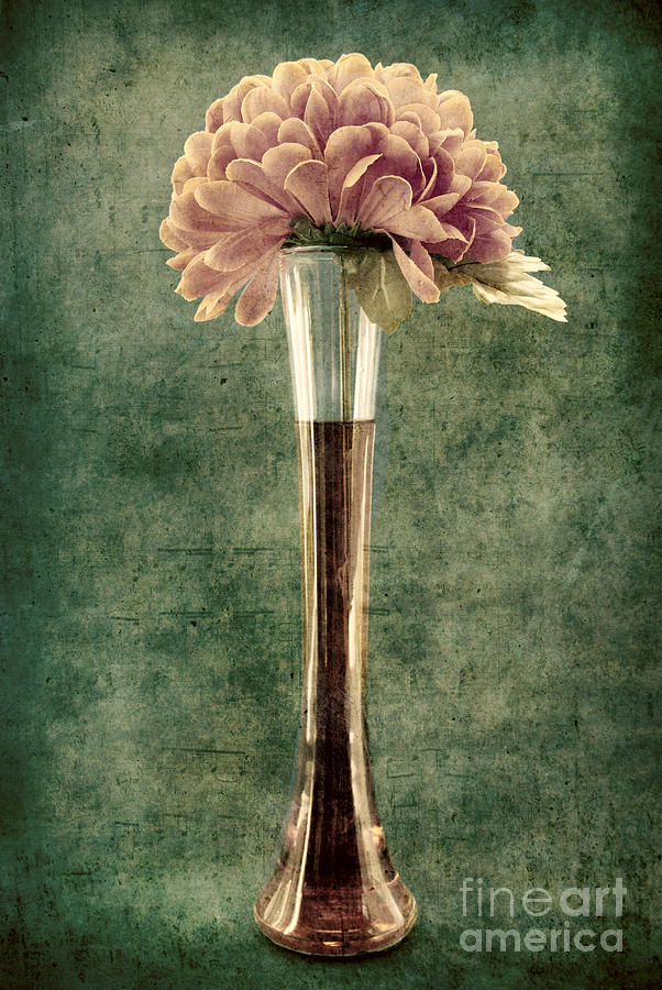 Vintage Photograph - Estillo Vase - s02et01 by Variance Collections