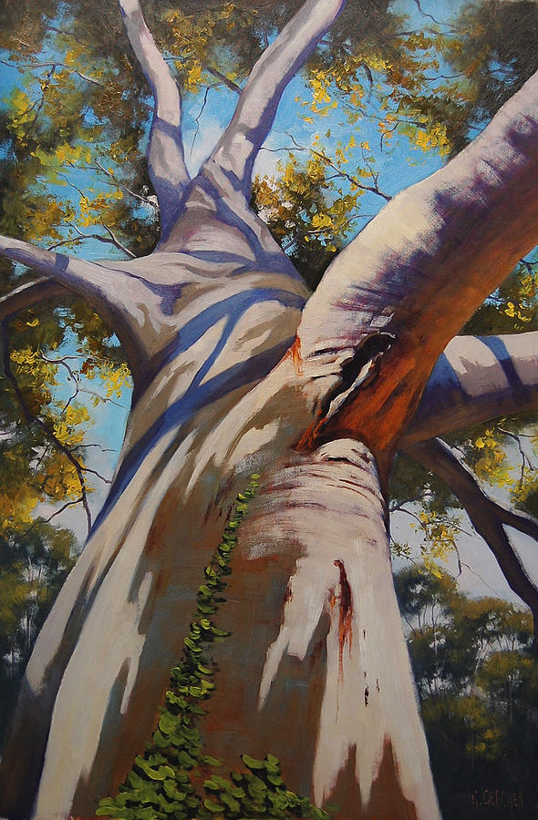 Nature Painting - Eucalyptus Tree Portrait by Graham Gercken