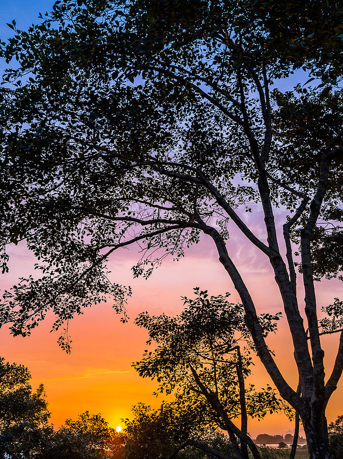 Sunset Photograph - Eureka Sunset by Greg Nyquist