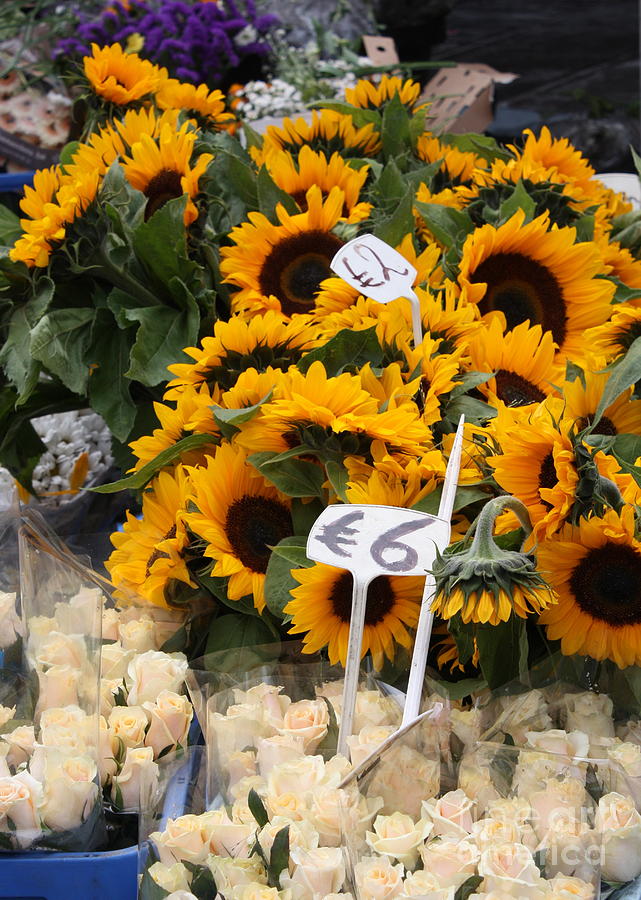 European Markets - Sunflowers and Roses Photograph by Carol Groenen