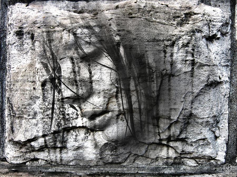 Even a stone can cry Digital Art by Gun Legler