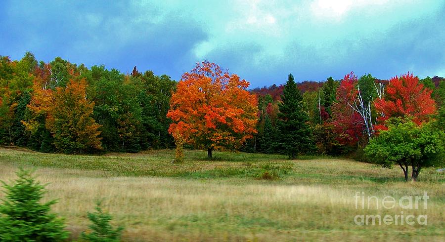 Even cloudy days sing in the Adirondacks 8 Photograph by Peggy Miller