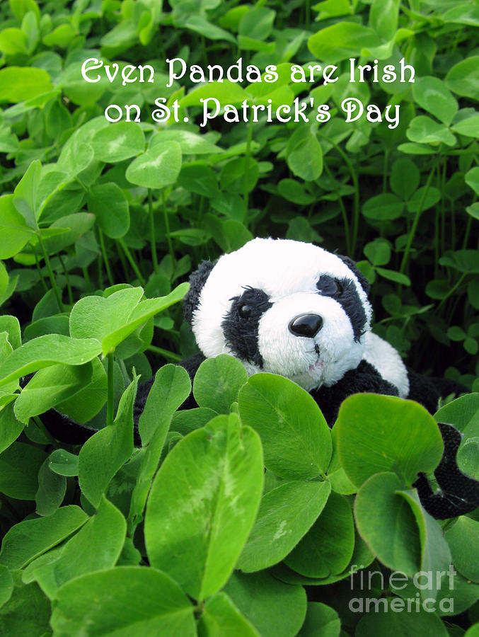 Holiday Photograph - Even Pandas are Irish on St. Patricks day by Ausra Huntington nee Paulauskaite