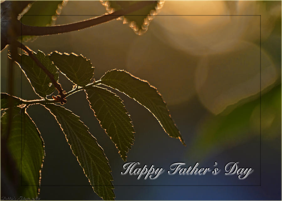 evenening-light-on-elm-leaves Fathers Day Photograph by Debbie Portwood