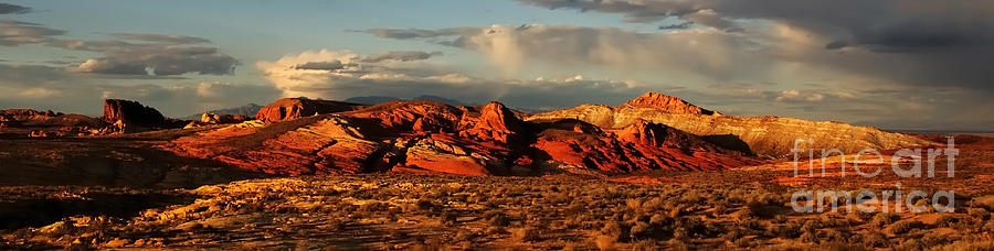 Evening Glow at the Valley of Fire Photograph by Vivian Christopher