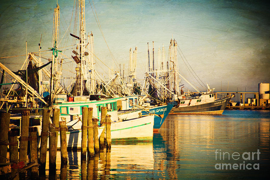 Boat Photograph - Evening Harbor by Joan McCool