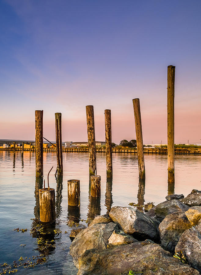 Evening on Humboldt Bay Photograph by Greg Nyquist