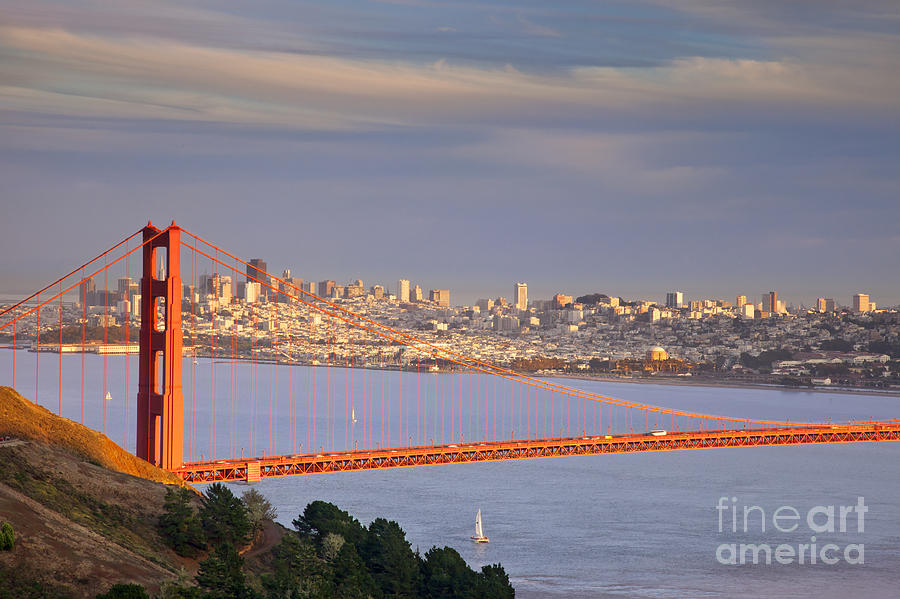 Evening over San Francisco Photograph by Brian Jannsen