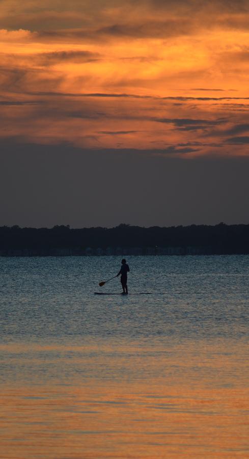 Evening Paddleboarder Photograph by Billy Beck