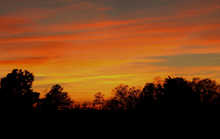Evening Sun Photograph by Karen Harrison Brown