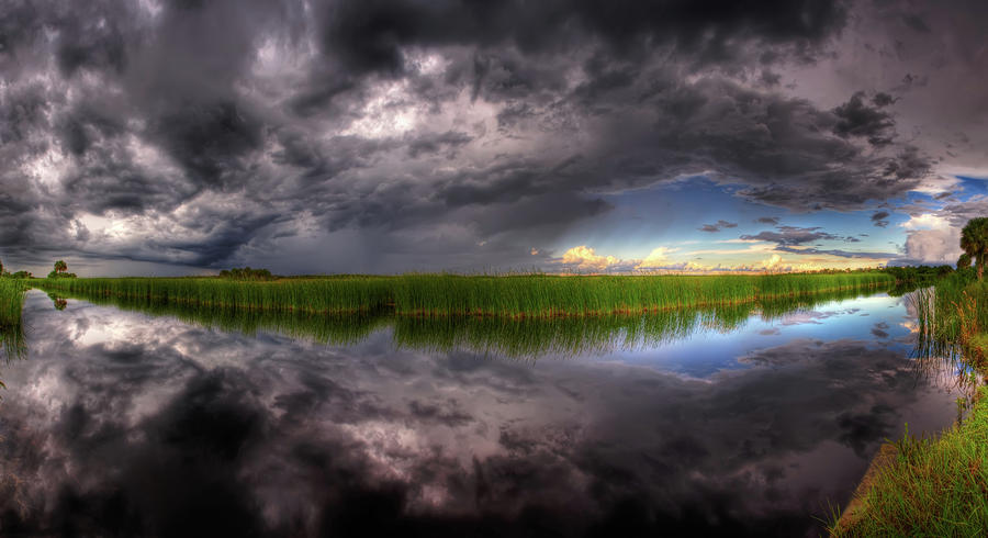 Everglades Reflection Photograph by Nick  Shirghio
