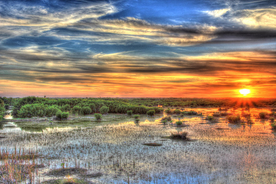 Everglades Sunset Photograph