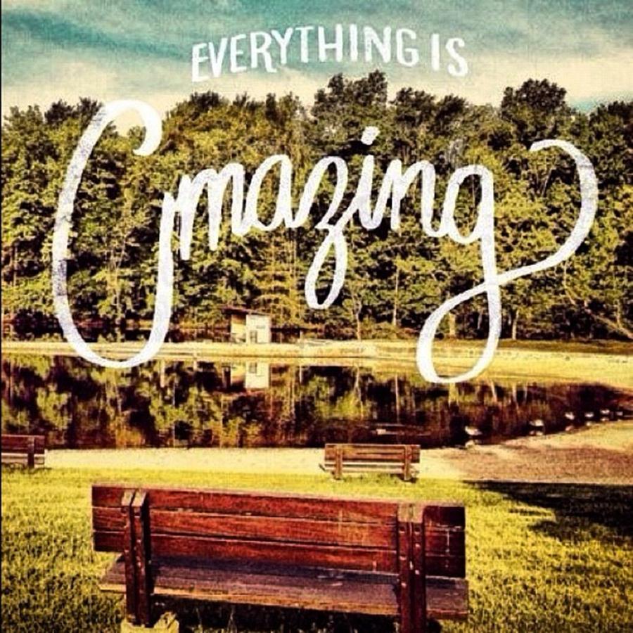 Sign Photograph - Everything Really Is #amazing I Hope My by Pete Michaud